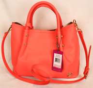 Vince Camuto Purse