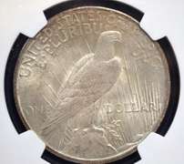 1925 NGC MS 64 Peace Dollar