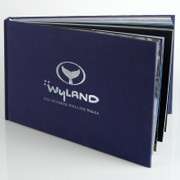 100 Whaling Walls by Wyland