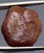 Unheated 14.93ct collectors uncut Brazilian Ruby