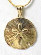 Detailed Sand Dollar Necklace in 14KT Yellow Gold