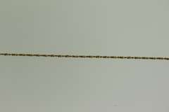 3.6 Gram 14K Gold Chain