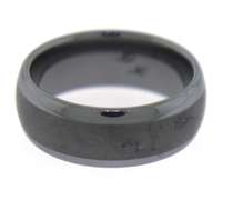 The Model Tungsten Band