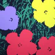 Flowers 11.73 by Warhol, Andy