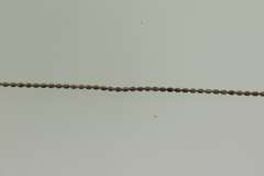 925 Sterling Silver Bracelet