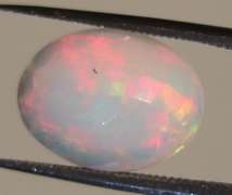 Snow white! FULL FLORAL 3.07ct Welo Opal