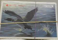 Canada 4 ea Mint Sets 1990 to 93 w/Loon