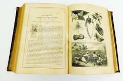 1881 Household Treasury for Farmers, Physician, Lawyer