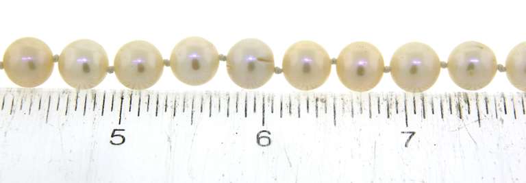 White Fresh Water Pearl Necklace