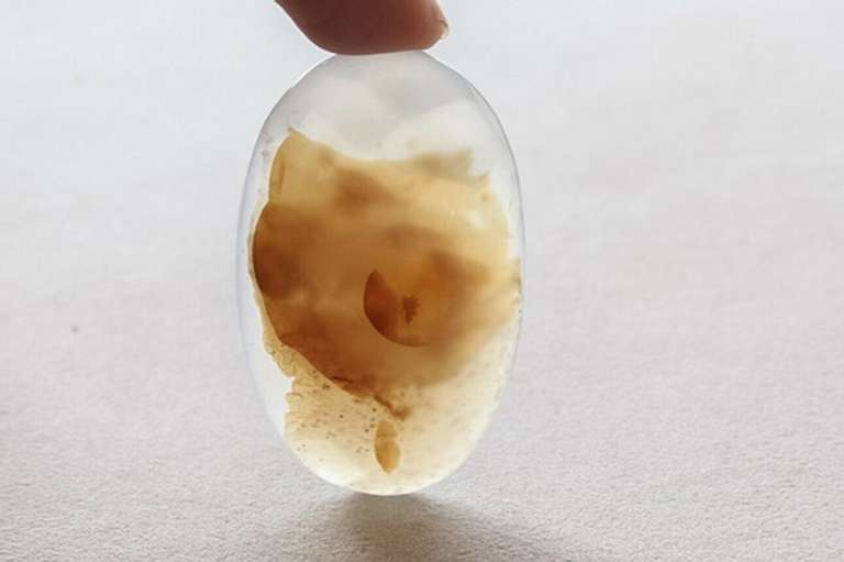 Interesting 123.34ct stylized rose Agate cabochon