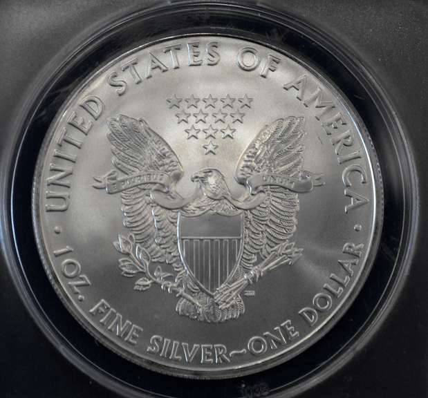 2009 BU Silver Eagle