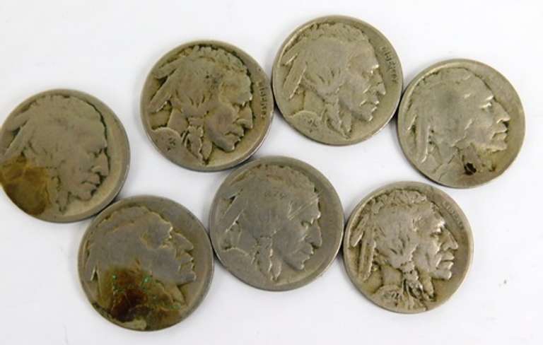 7 U.S. Buffalo Nickels