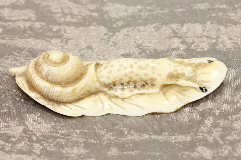 Hand Carved Natural Ivory Ojimi