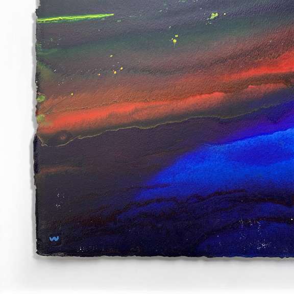 Wyland Original by Reef Colors 5