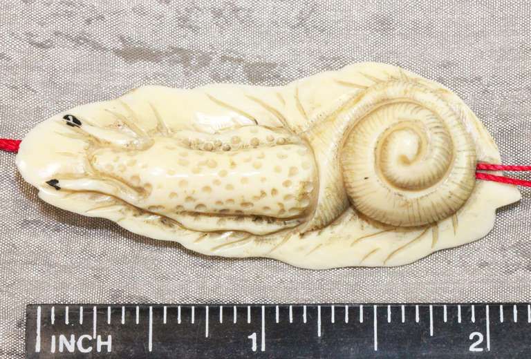 Hand Carved Natural Ivory Ojimi