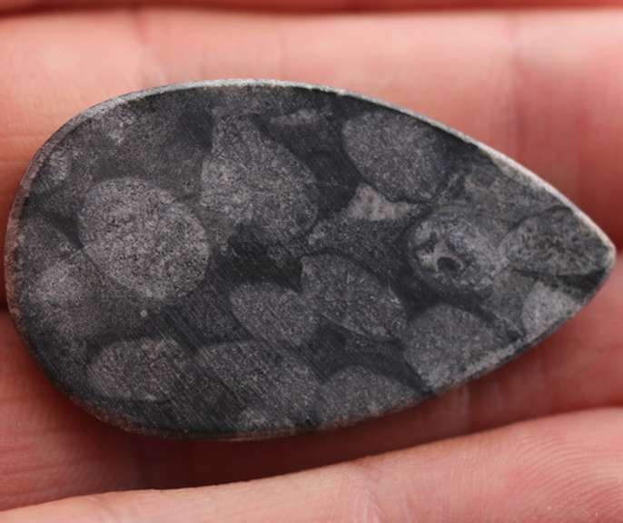 Stylish 45.06ct Moroccan Black Coral