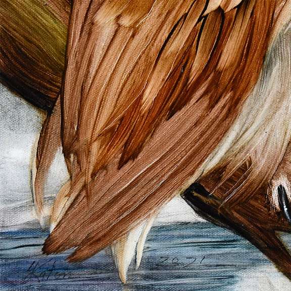 Katon Original by Barn Owl, Back Home
