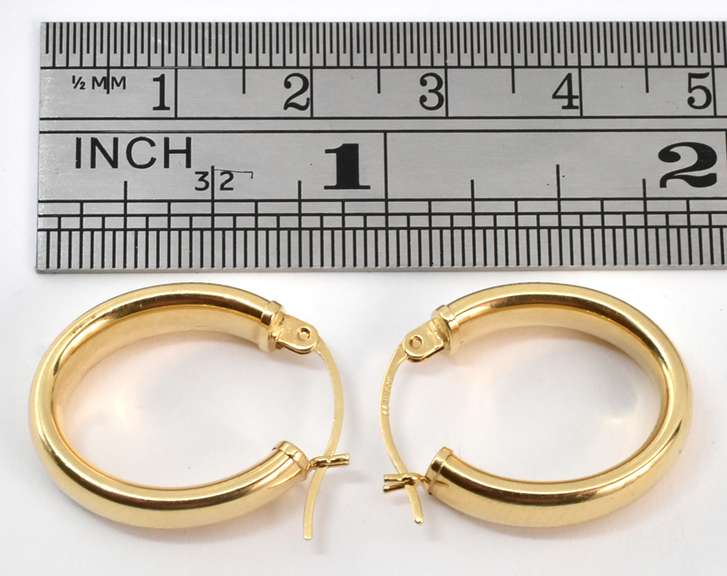 Practically Sized Oval Hoop Earrings