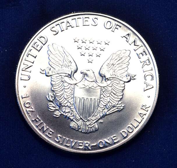 1986 BU Sliver Eagle