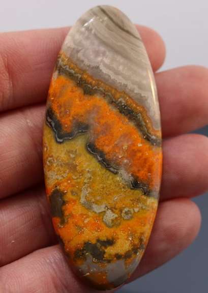 Huge! Vibrant! 80.79ct collectors Bumble bee Jasper