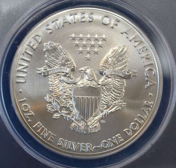 2013 BU Silver Eagle
