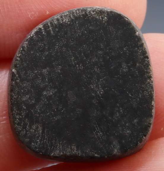 Untreated 31.84ct rainbow flashing Australian Abalone