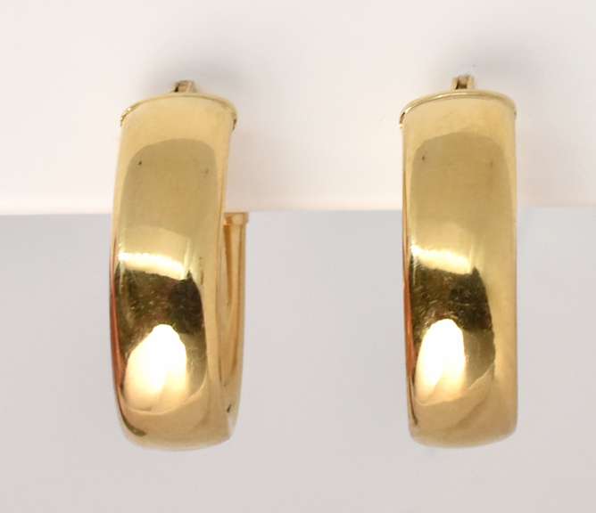 Practically Sized Oval Hoop Earrings