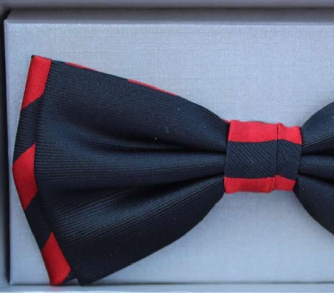 Stylish 100% Silk Bow Tie By Zianni