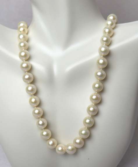 White Fresh Water Pearl Necklace