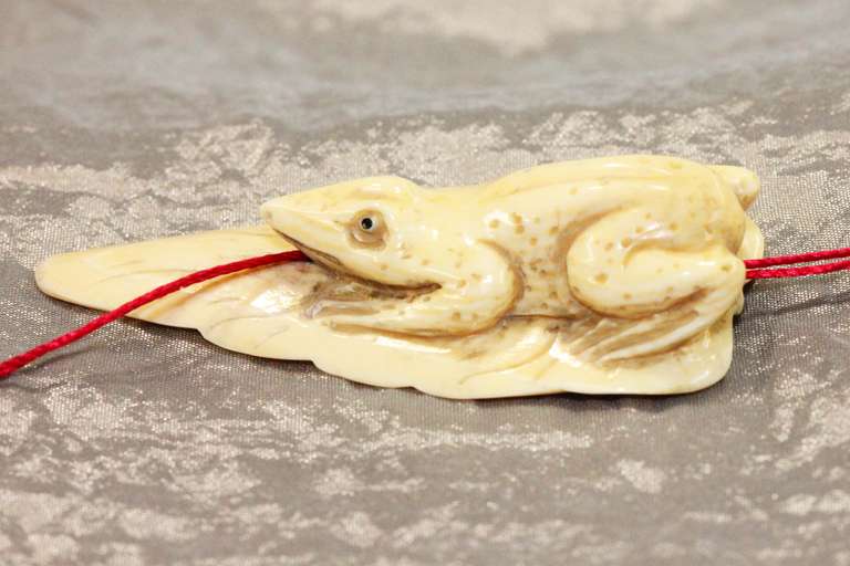 Natural  Ivory Frog on Leaf