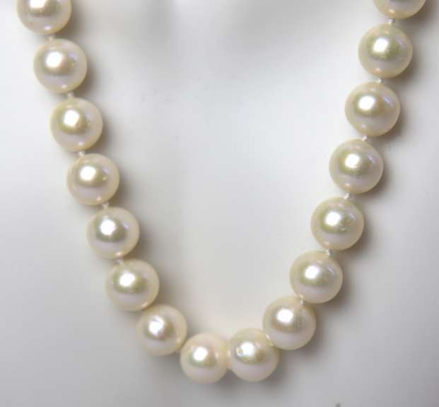 White Fresh Water Pearl Necklace