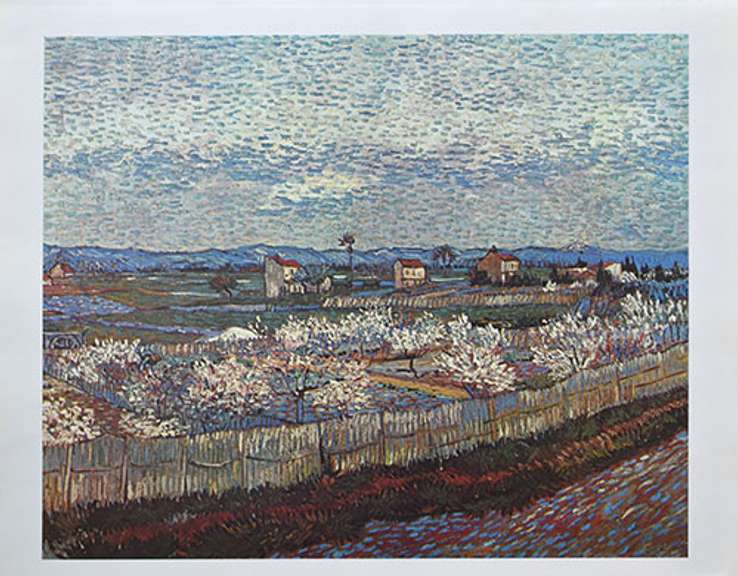 Vincent Van Gogh, Landscape At Arles