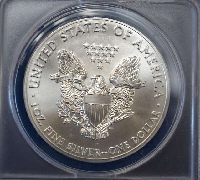 2014 BU Silver Eagle