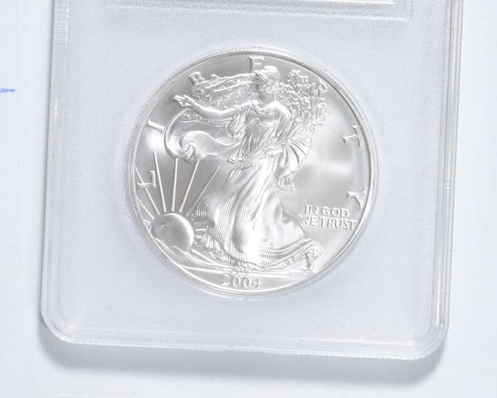 2004 American Silver Eagle - .999 Fine Silver