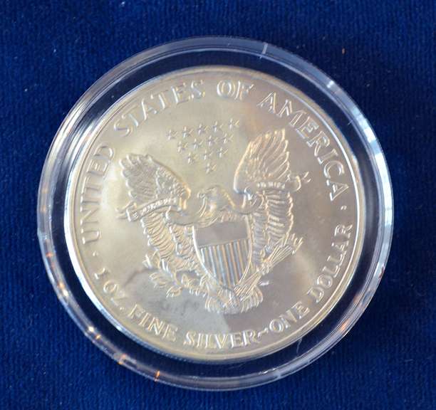 2001 Defenders Of Freedom Colorized Silver Eagle