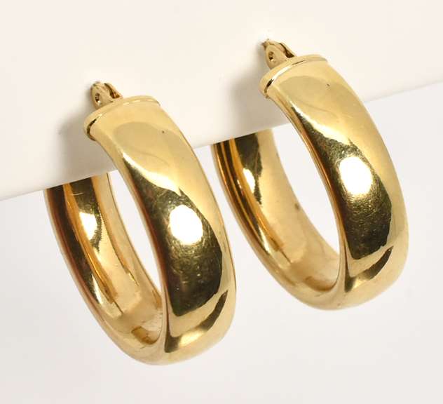 Practically Sized Oval Hoop Earrings