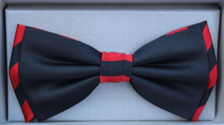 Stylish 100% Silk Bow Tie By Zianni