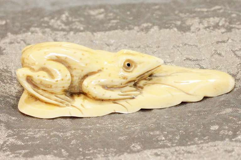 Natural  Ivory Frog on Leaf