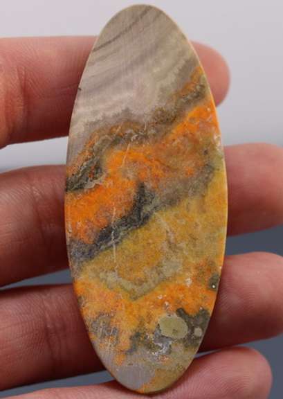 Huge! Vibrant! 80.79ct collectors Bumble bee Jasper