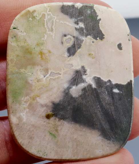 Stunning 114.21ct fossilized Palm Root Jasper and Quartz!