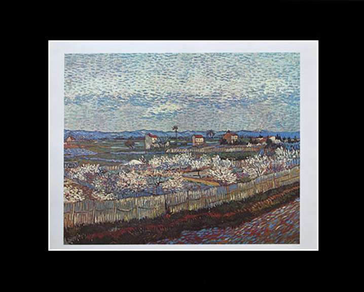 Vincent Van Gogh, Landscape At Arles