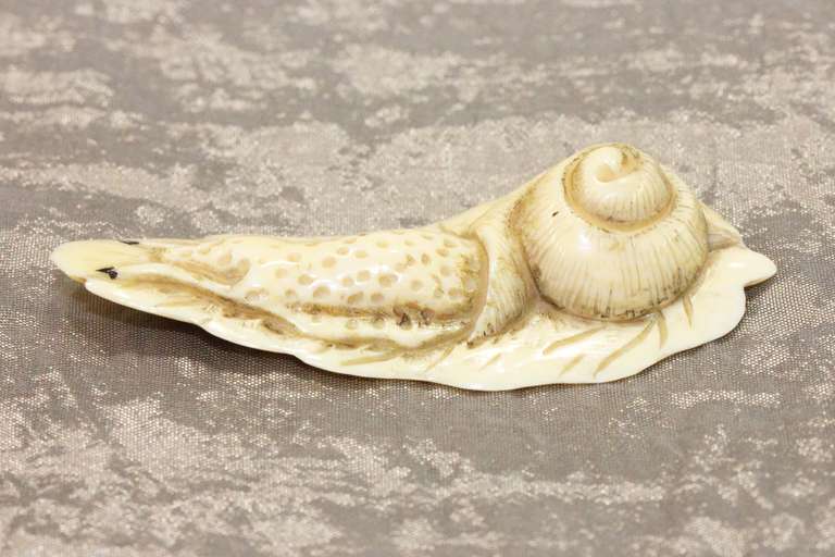 Hand Carved Natural Ivory Ojimi