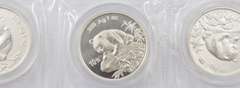 Lot (5) 1999 China 10 Yuan - 1 Oz .999 Fine Silver Pandas