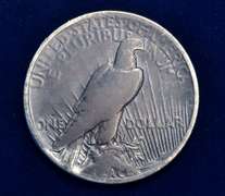 1921 Peace Dollar Circulated