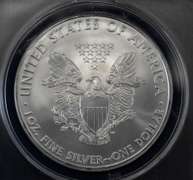 2009 BU Silver Eagle