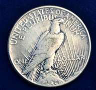 1921 Peace Dollar Circulated