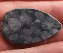 Stylish 45.06ct Moroccan Black Coral