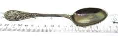 Tiffany & Co Demitasse Audobon Spoon