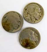 7 U.S. Buffalo Nickels