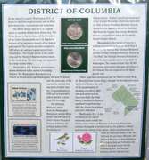 4 Albums Of State &America The Beautiful Quarters